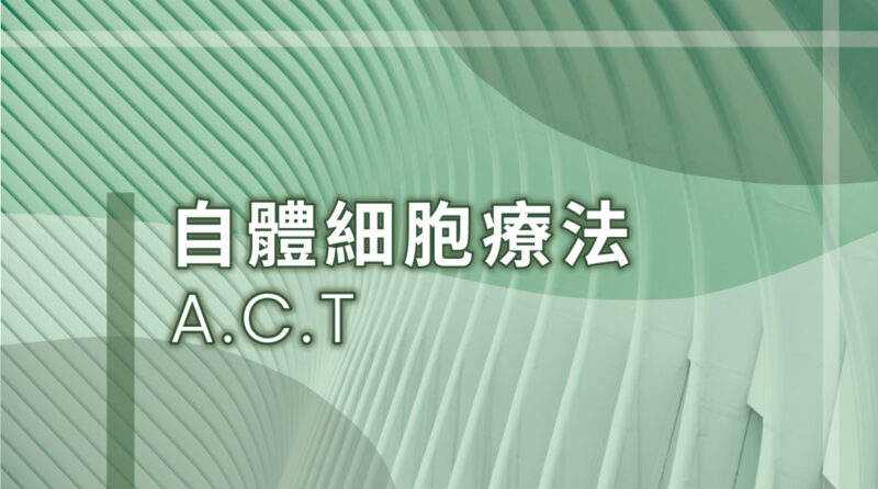 20231026-主題圖-act